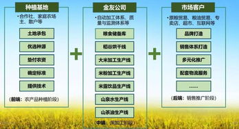 金友米業(yè)會員項目 打造國內(nèi)領先的生態(tài)農(nóng)產(chǎn)品服務與信息咨詢平臺