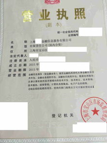 上海金融信息服務公司的市場現狀與轉讓價值分析